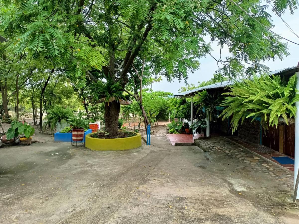וילה-וייחה Hostal Sol De Verano Dona Lilia מראה חיצוני תמונה